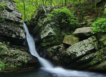 arkansas/ouachita-national-forest/attraction/caney-creek-wilderness