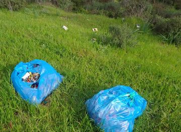 cyprus/machairas-forest/attraction/makheras-forest