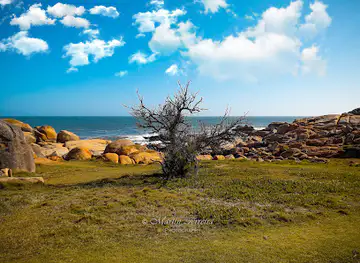 Reserva de Lobos Marinos de Cabo Polonio