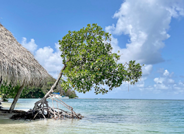 panama/guna-yala/attraction/catamaran-experience-panama