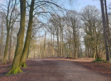 united-kingdom/north-west-england/attraction/go-ape-delamere