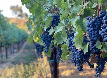 california/martinez/attraction/fontanella-family-winery