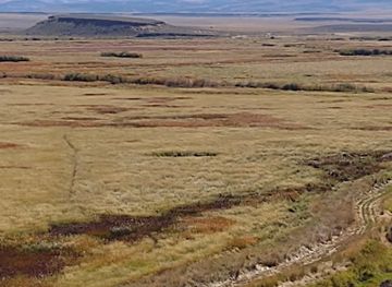 oregon/harney-basin/attraction/harney-county-migratory-bird-festival