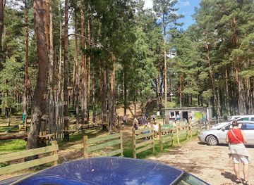 latvia/daugavpils/attraction/daugavpils-tarzans