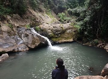 kenya/mount-kenya/attraction/kwa-gakii-farm