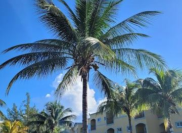 jamaica/runaway-bay/attraction/jewel-paradise-cove-beach-resort-spa-all-inclusive-adult-resort