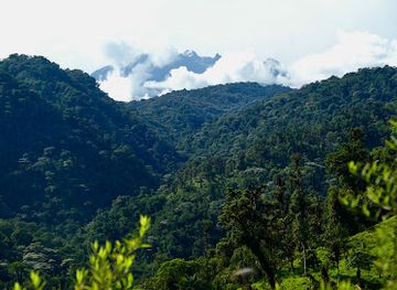 ecuador/sucumbios-region/attraction/refugio-paz-de-las-aves