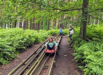 united-kingdom/durham/attraction/broom-house-farm-forest-adventure