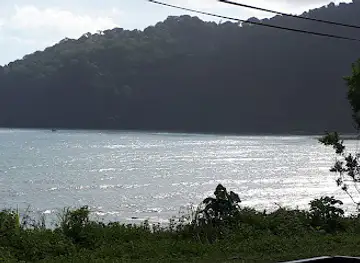 Shark River
