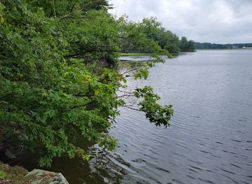 new-hampshire/seacoast/attraction/urban-forestry-center