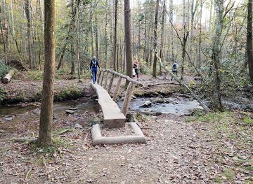 tennessee/great-smoky-mountains/attraction/little-greenbrier-school