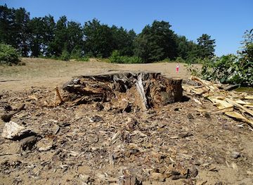 czechia/south-bohemia/attraction/sand-dunes-u-vlkova