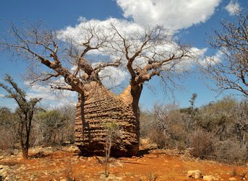 madagascar/atsimo-andrefana/attraction/tsimanampetsotse-national-park