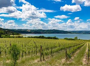 italy/assisi/attraction/lago-di-corbara
