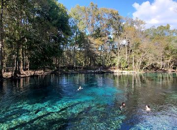 florida/santa-fe-river/attraction/devil-s-ear-spring