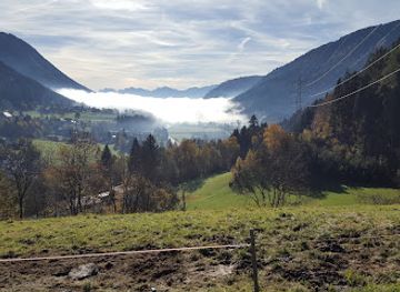 austria/carinthia/attraction/museum-of-mushrooms