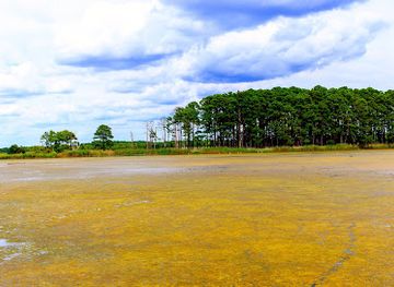 maryland/chesapeake-bay-area/attraction/chesapeake-bay-environmental-center