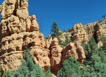 utah/bryce-canyon-city/attraction/bryce-wildlife-adventure