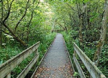 united-kingdom/norwich/attraction/barton-broad-boardwalk