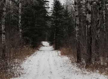 canada/western-manitoba/attraction/grey-owl-trail