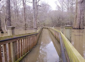 mississippi/the-delta/attraction/sky-lake-wma-boardwalk
