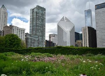 illinois/arlington-heights/attraction/lurie-garden