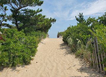 delaware/delaware-beaches/attraction/south-inlet-delaware-seashore-state-park