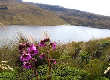 colombia/los-nevados-national-natural-park/attraction/the-pastora-regional-park-natural-ucumari