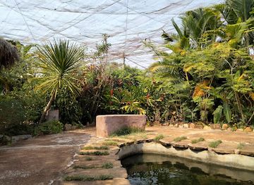 cambodia/siem-reap/attraction/butterfly-paradise