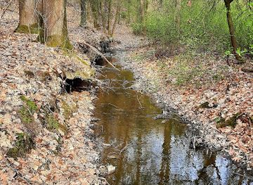 czechia/central-bohemia/attraction/modranska-rokle