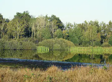 Drents-Friese Wold National Park