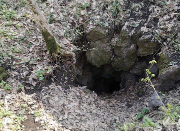 hungary/central-transdanubia/attraction/nyari-barlang