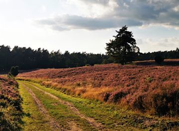 germany/lüneburg-heath/attraction/kronsbergheide