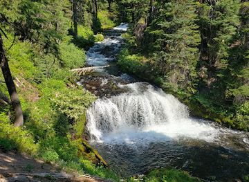 oregon/cascade-lakes-scenic-byway/attraction/fall-creek-falls