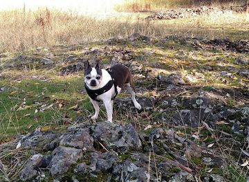 washington/spokane-river/attraction/drumheller-springs-park