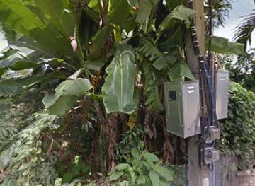 thailand/nan/attraction/suan-sri