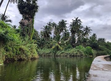india/tamil-nadu/attraction/sengal-anai-dam