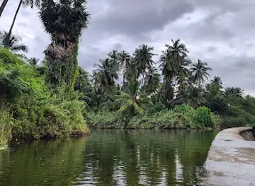 Sengal Anai(Dam)