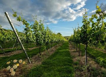 united-kingdom/worcestershire/attraction/deer-park-wines