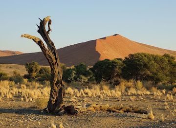 namibia/sossusvlei/attraction/viewpoint