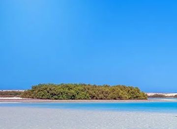egypt/marsa-alam/attraction/sahel-albahr-bmarsy-alam