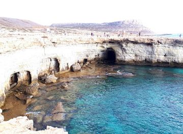 cyprus/konnoi-beach/attraction/tree-of-lovers