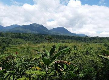 indonesia/bali/attraction/jl-raya-bedugul