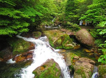 japan/yakushima/attraction/oi-no-ooiwa