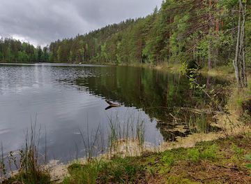 finland/repovesi-national-park/attraction/valkjarvi-booking-camping-area