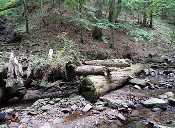poland/bieszczady-mountains/attraction/ruiny-starego-drewnianego-mostu