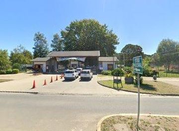 chile/valdivia/attraction/parque-saval-1