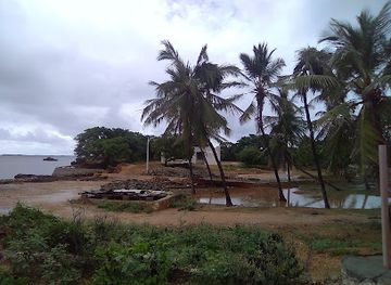 kenya/lamu-archipelago/attraction/kiunga-marine-national-reserve