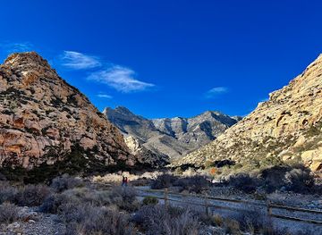 nevada/red-rock-canyon-national-conservation-area/attraction/petroglyph-wall-trailhead