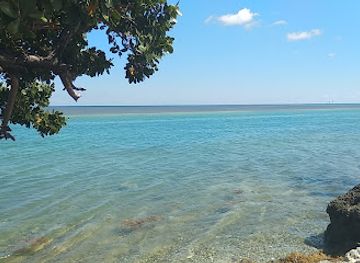 florida/islamorada/attraction/indian-key-state-historic-site-outstanding-florida-water